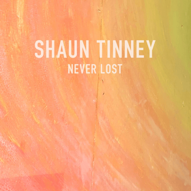 Never Lost cover